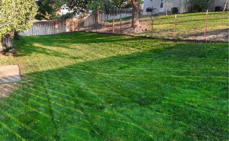 A fenced in back yard that has been regularly aerated and seeded. The grass is incredibly green and thick.