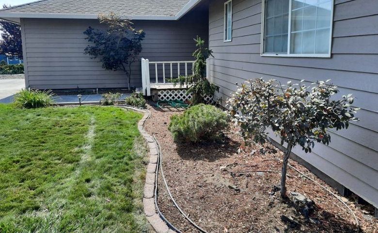 A large landscape bed lining a residential home. The mulch has been cleared out to prepare for new mulch to be laid down.