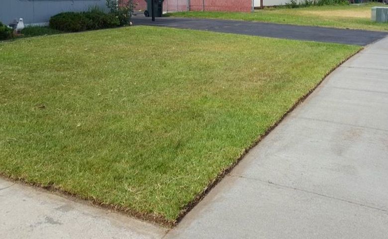 Mowing a best sale small lawn