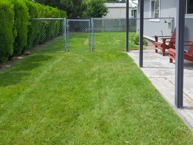 A small fenced in back lawn that has been recently mowed and edged by Telos Lawn Care. The grass is very green and healthy. 