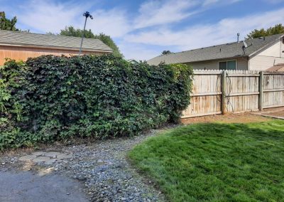 A fenced in residential back yard after being cleaned up. The shrubs surrounding the fence have been professionally pruned and the grass has been mowed.