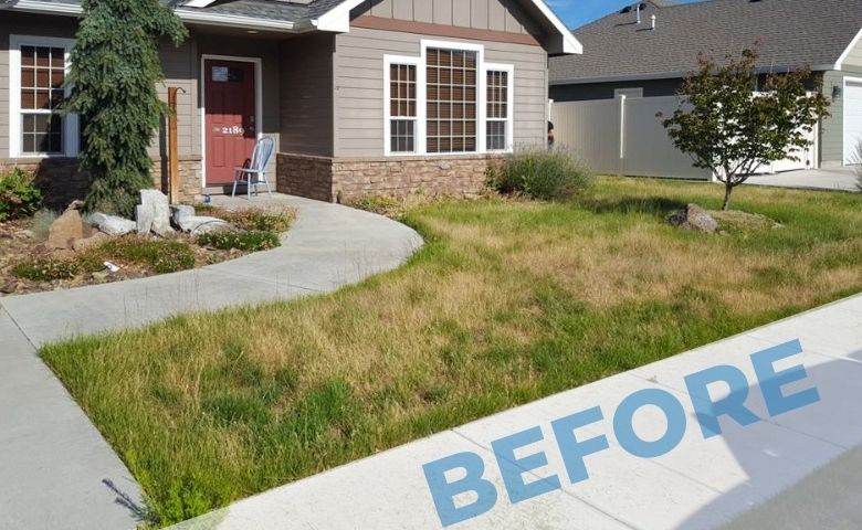 A residential home with gray siding and a small front lawn. The lawn is very overgrown before being serviced by Telos Lawn Care.